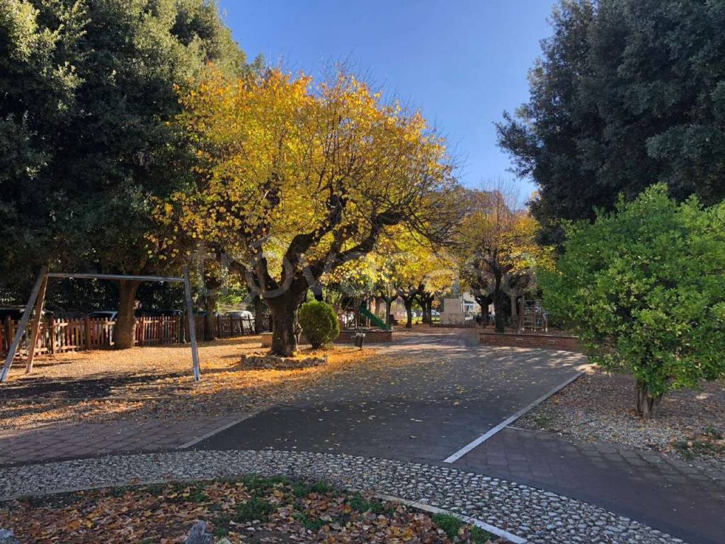 immagine annuncio 3 di 7