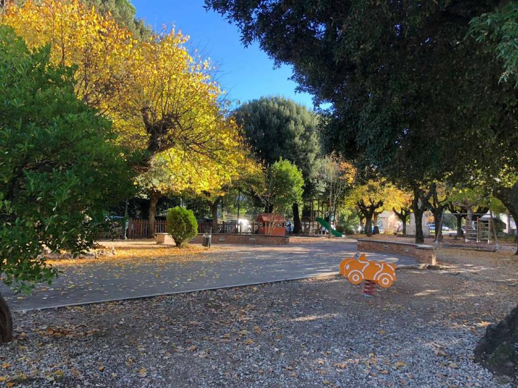 immagine annuncio 5 di 7