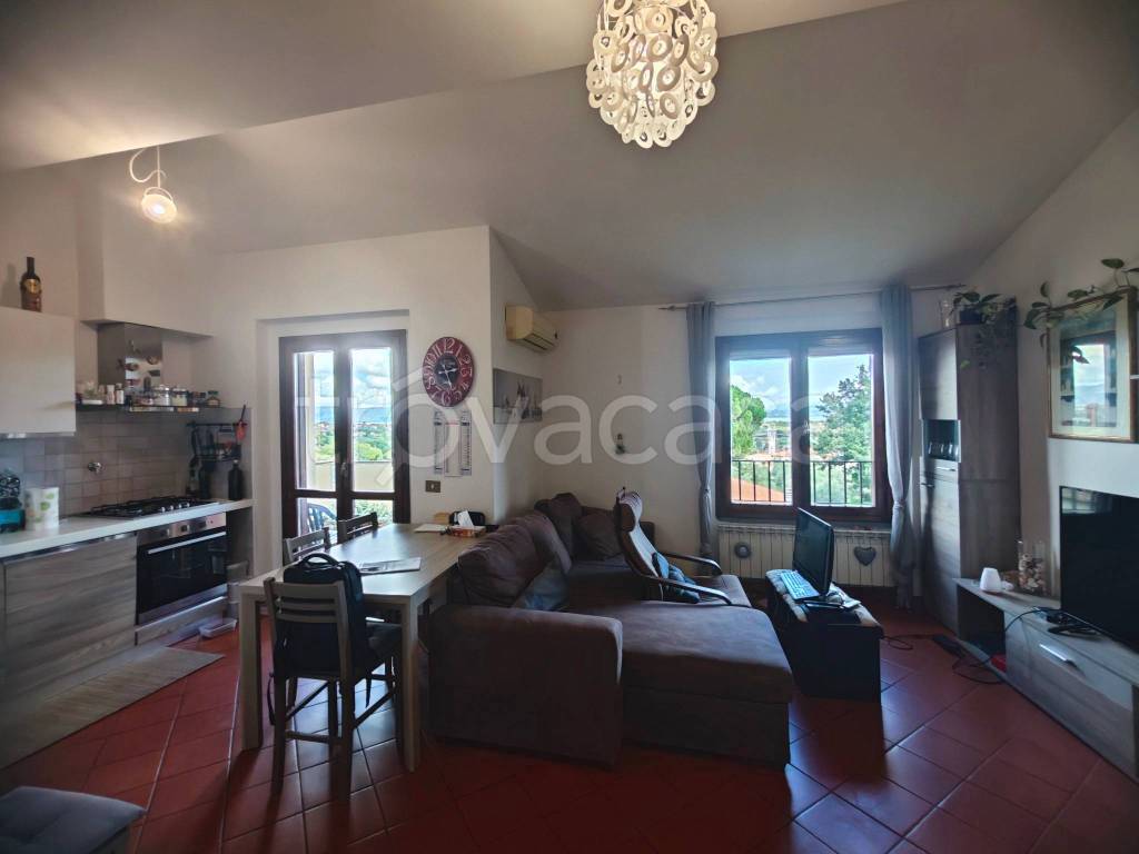 immagine annuncio 9 di 15