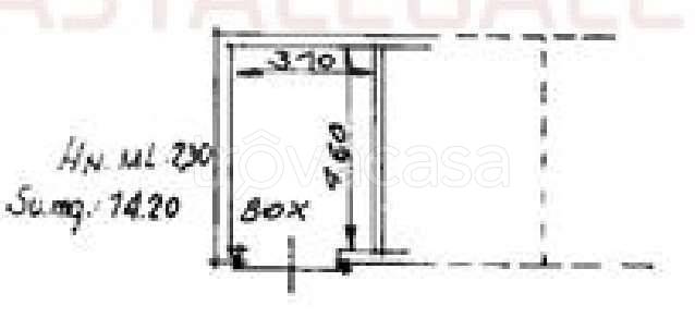 immagine annuncio 9 di 12