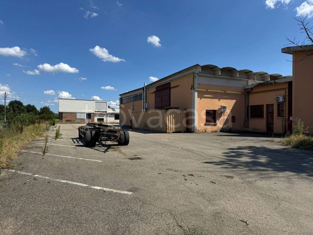 immagine annuncio 8 di 12