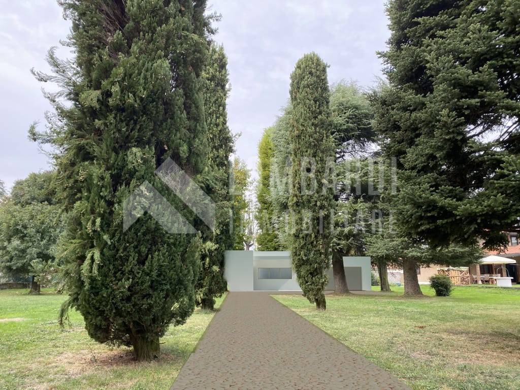 immagine annuncio 3 di 12