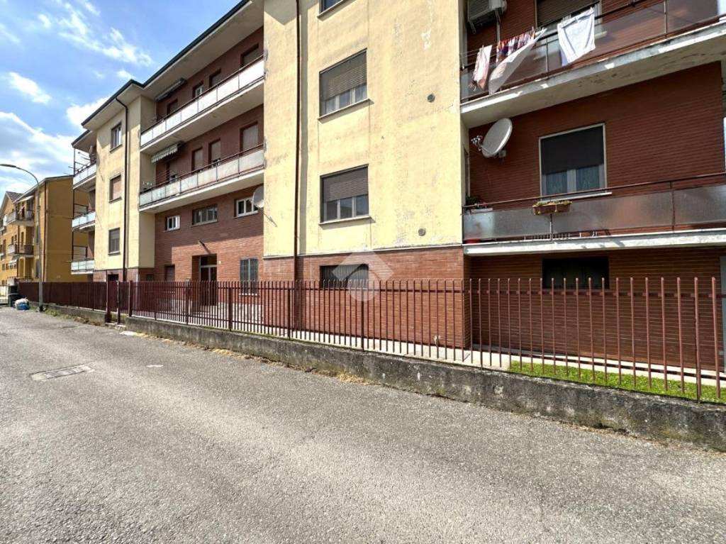 immagine annuncio 3 di 15