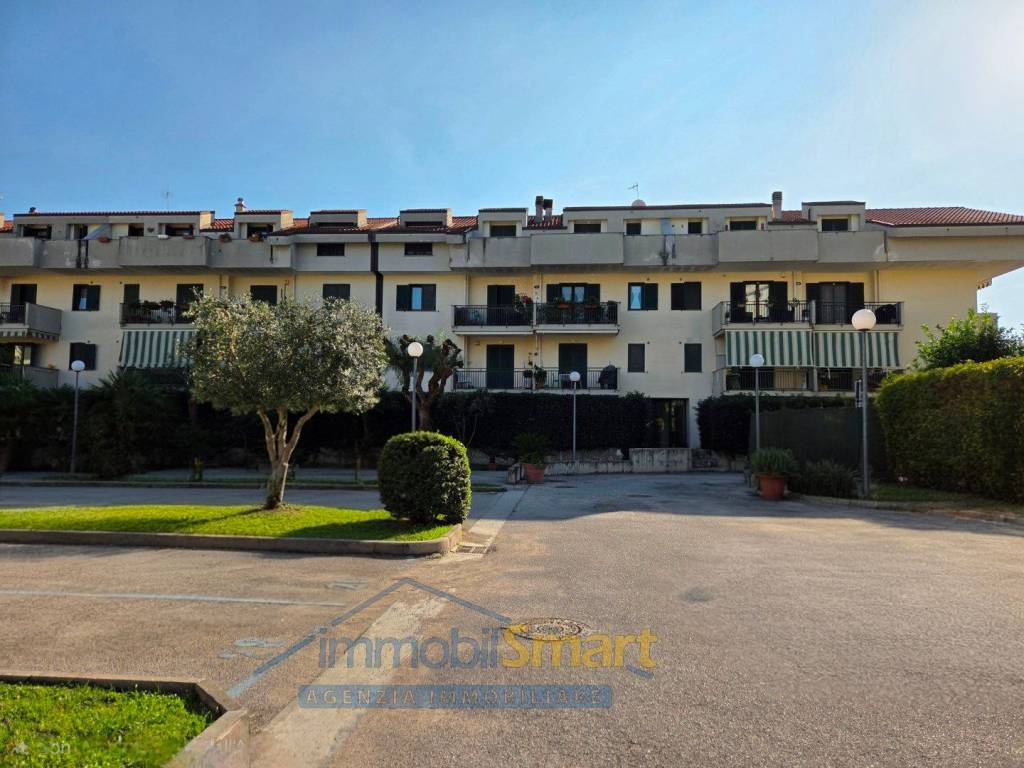 immagine annuncio 2 di 15