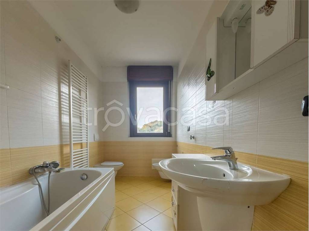 immagine annuncio 5 di 12