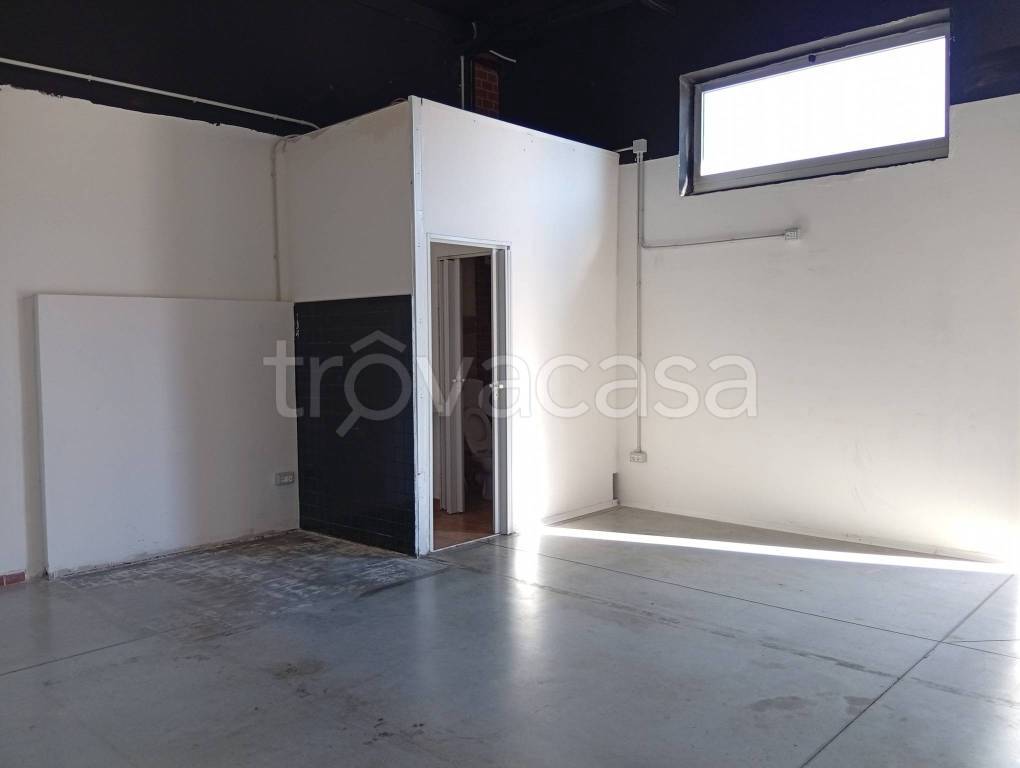 immagine annuncio 8 di 12