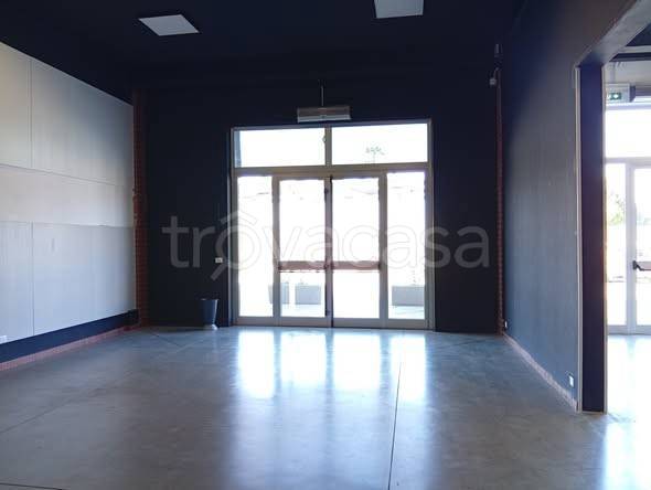 immagine annuncio 5 di 12