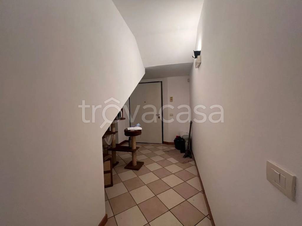immagine annuncio 7 di 14