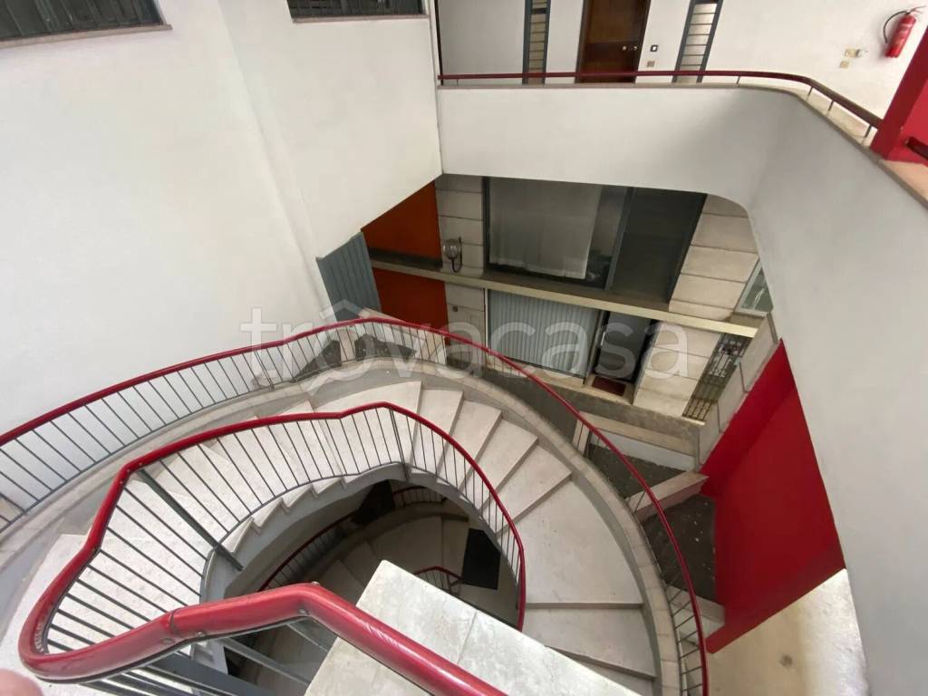 immagine annuncio 9 di 14