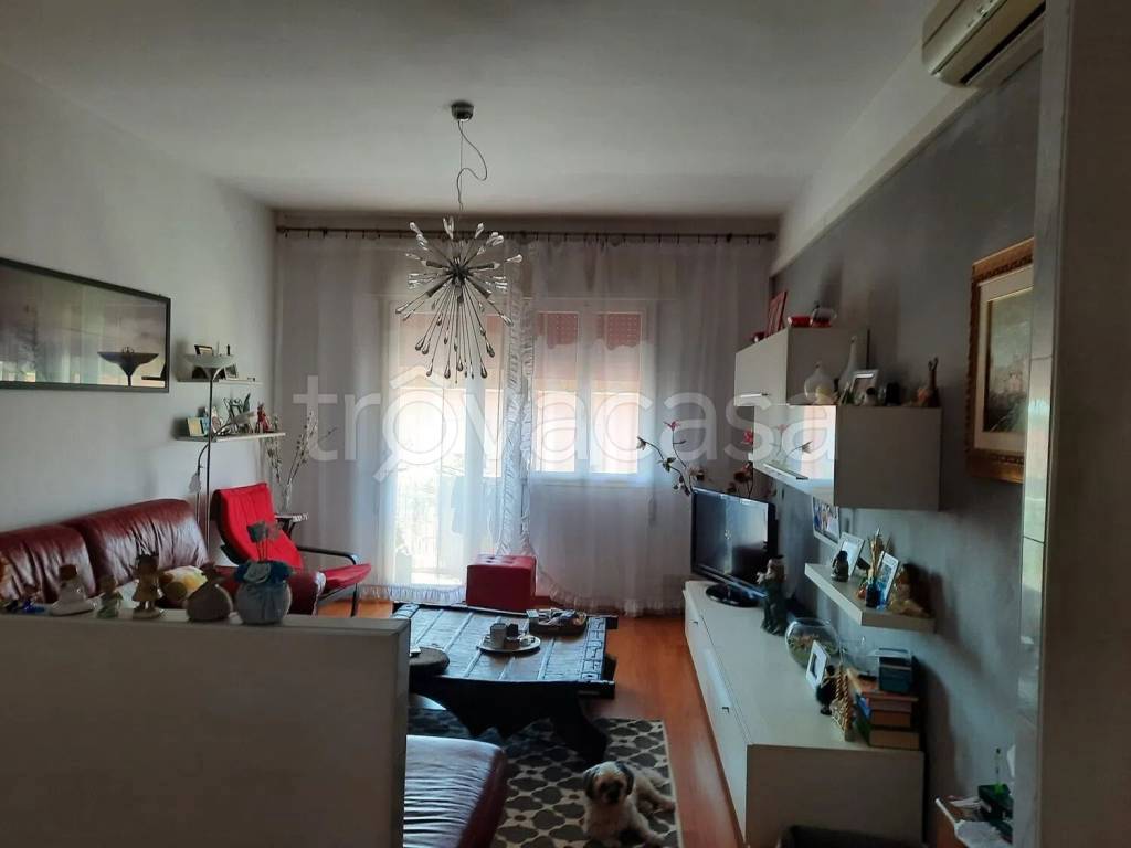 immagine annuncio 1 di 9