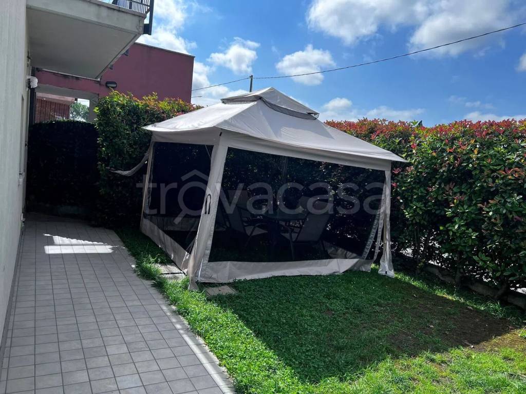 immagine annuncio 12 di 13