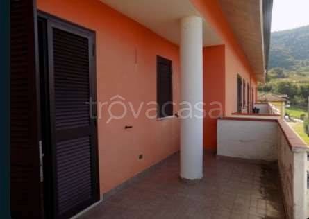 immagine annuncio 2 di 14