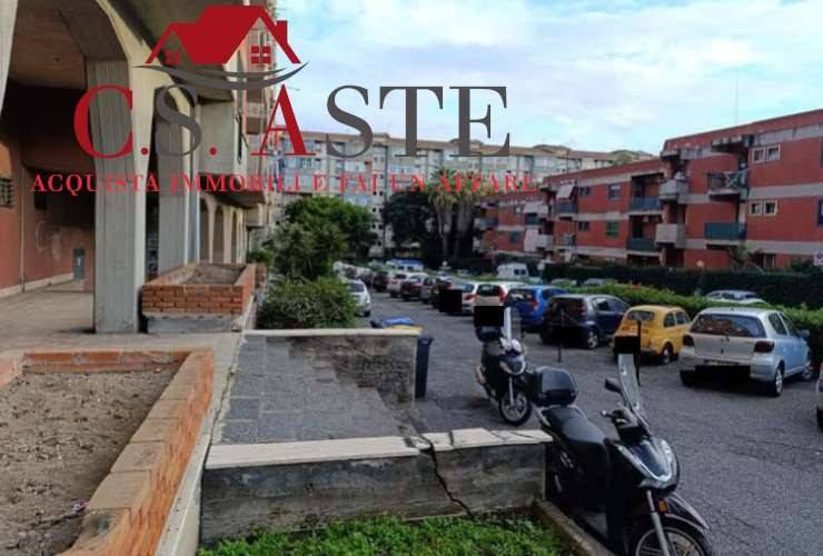 immagine annuncio 10 di 14