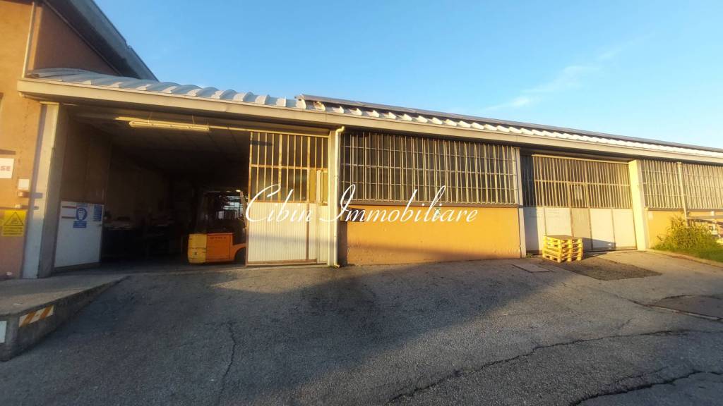 immagine annuncio 6 di 12