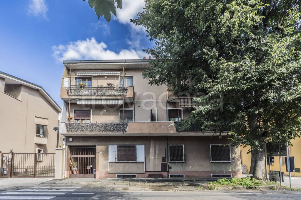 immagine annuncio 1 di 14