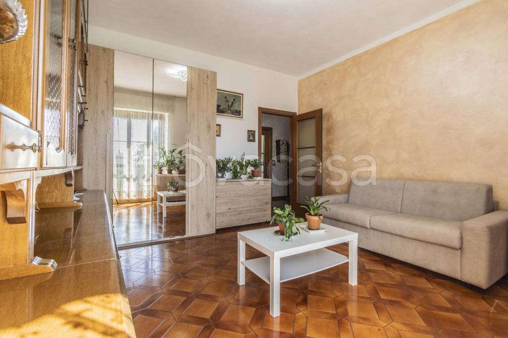 immagine annuncio 3 di 14