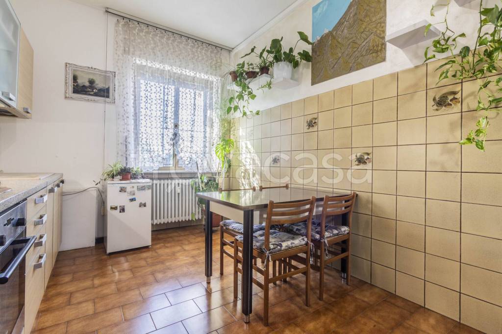 immagine annuncio 6 di 14