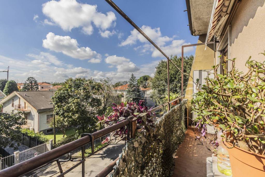 immagine annuncio 12 di 14