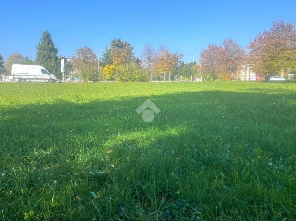 immagine annuncio 2 di 11