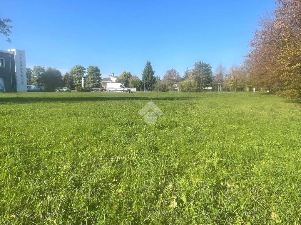 immagine annuncio 3 di 11