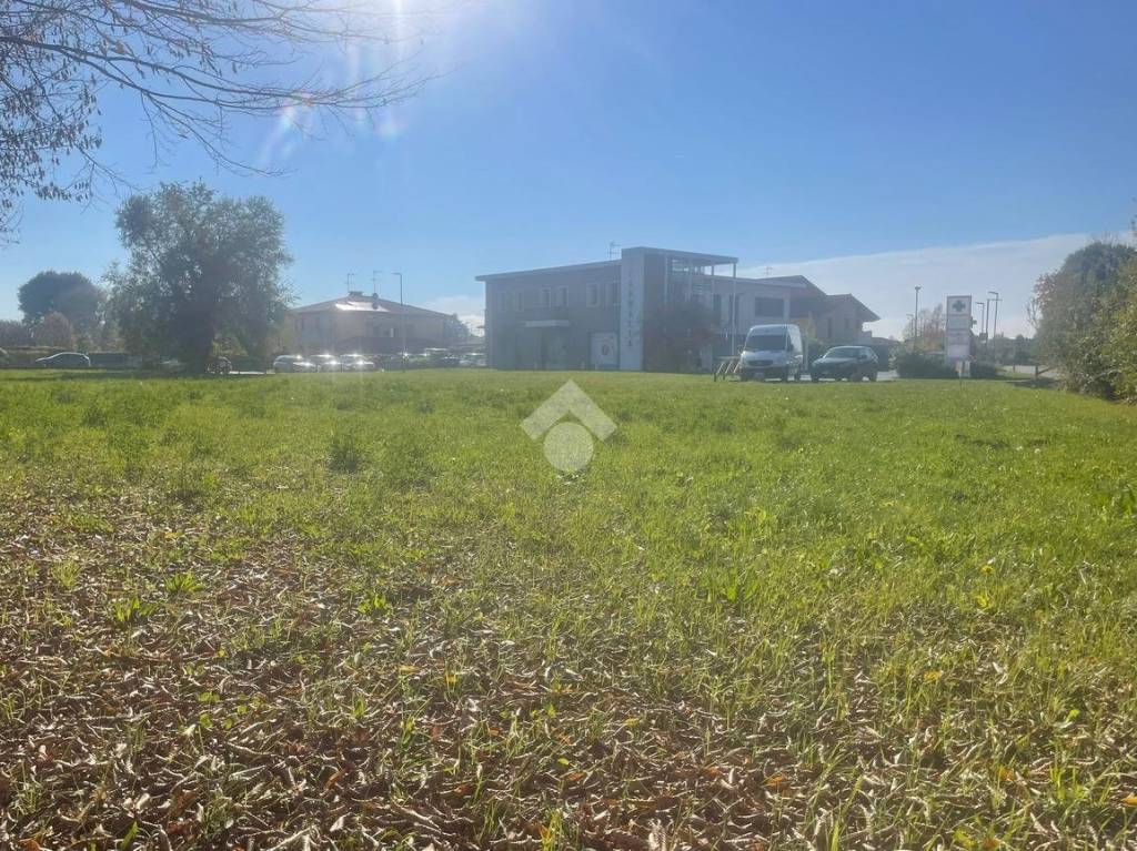 immagine annuncio 4 di 11