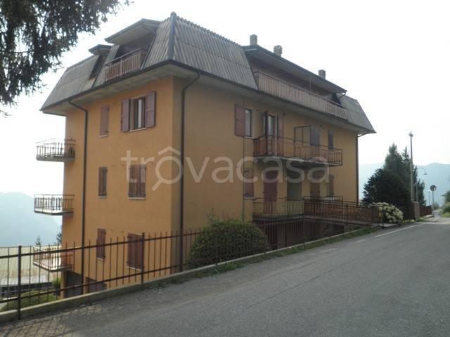 immagine annuncio 12 di 14