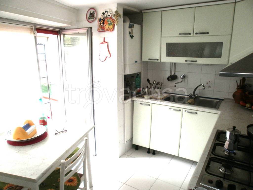 immagine annuncio 2 di 13