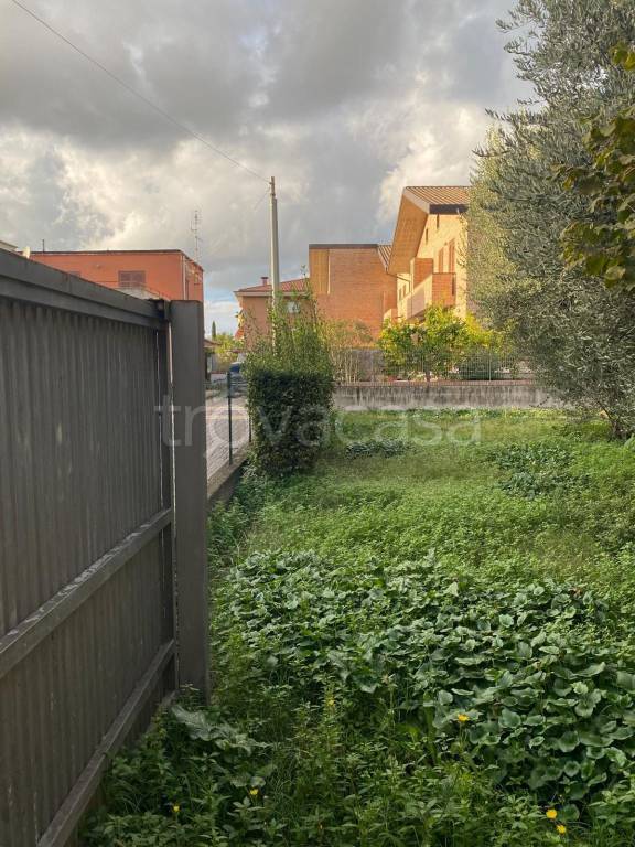 immagine annuncio 5 di 14