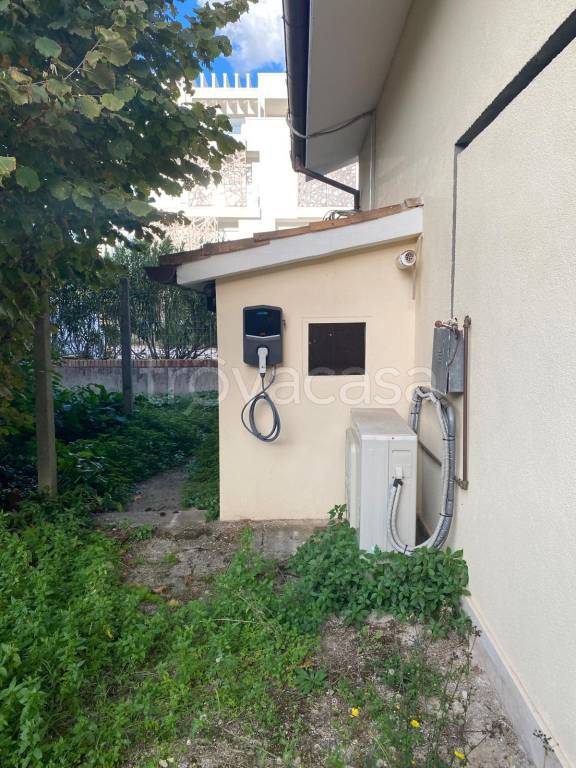 immagine annuncio 6 di 14