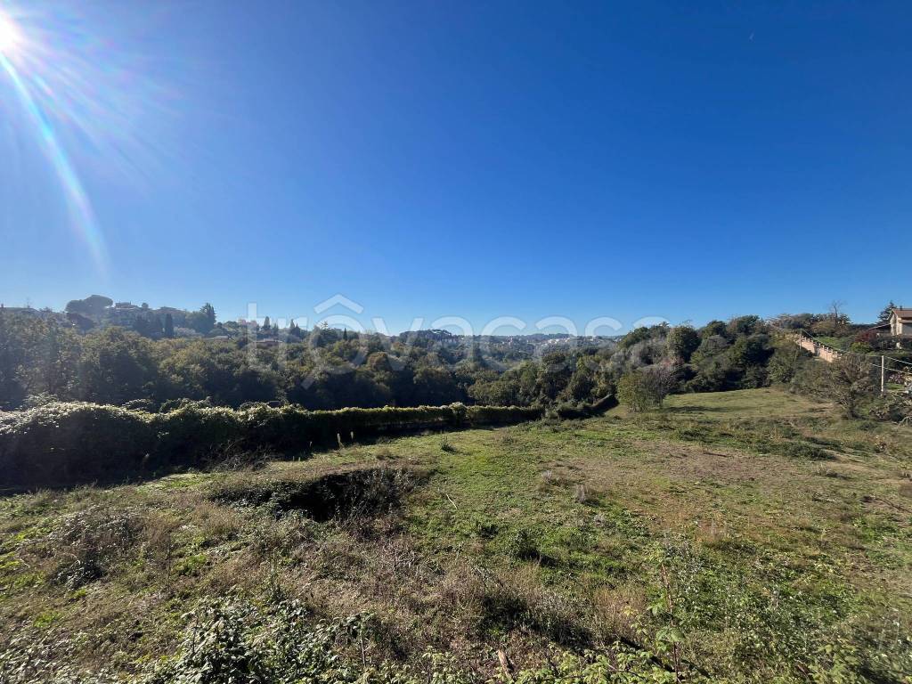 immagine annuncio 3 di 7