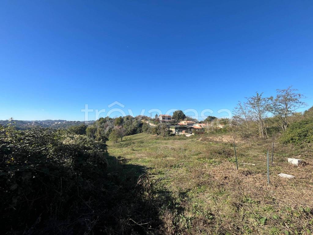 immagine annuncio 5 di 7