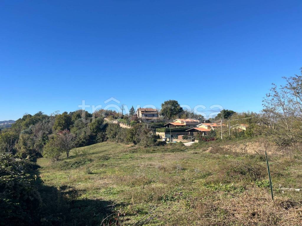 immagine annuncio 6 di 7