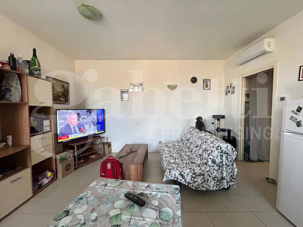 immagine annuncio 10 di 14