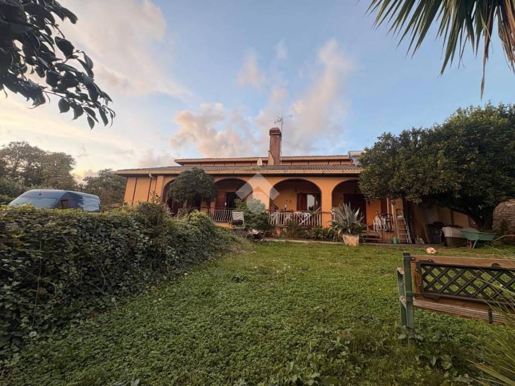 immagine annuncio 10 di 11