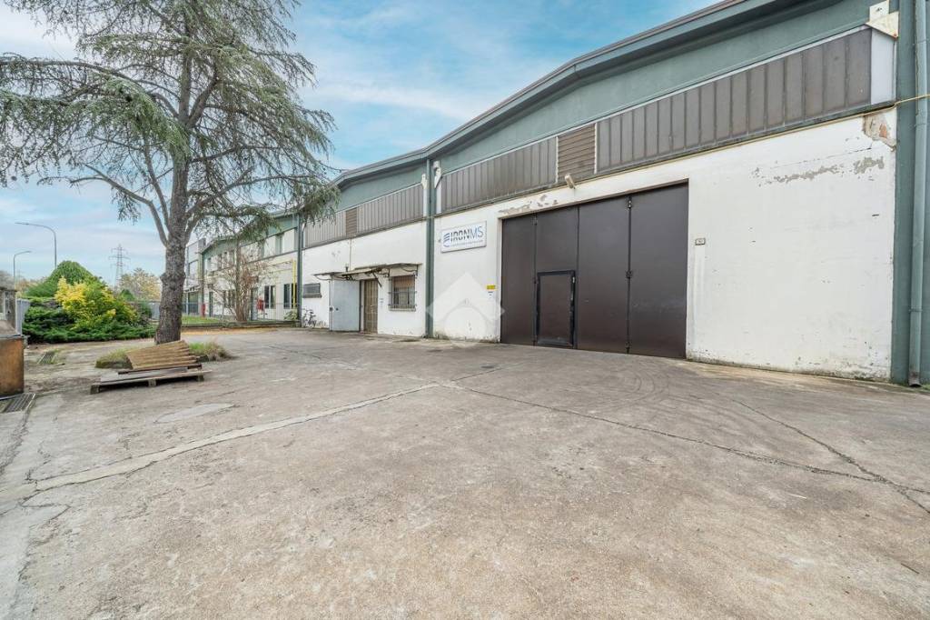 immagine annuncio 1 di 15