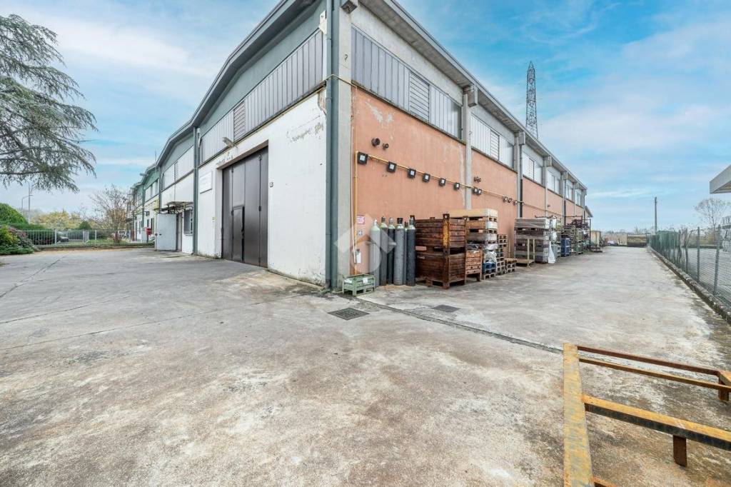 immagine annuncio 2 di 15