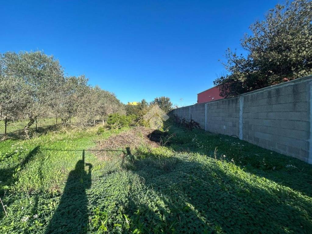 immagine annuncio 9 di 11