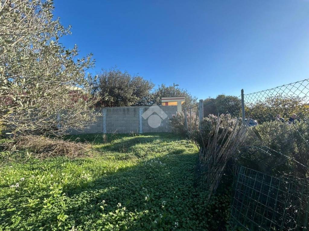 immagine annuncio 10 di 11