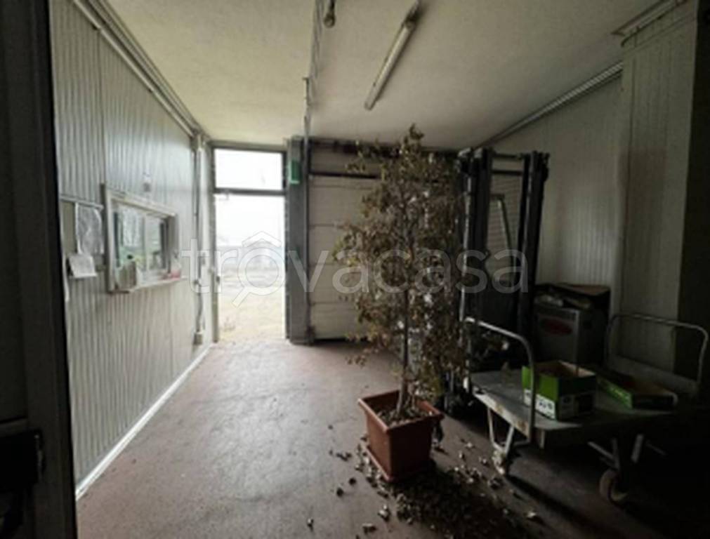 immagine annuncio 2 di 12