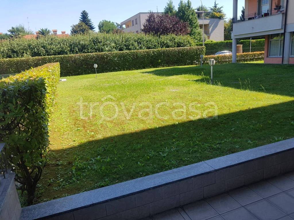 immagine annuncio 9 di 11