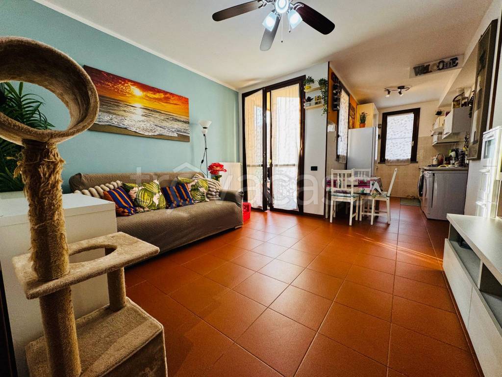 immagine annuncio 1 di 11