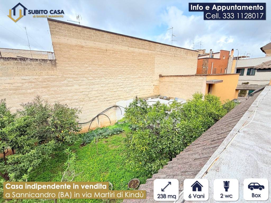 immagine annuncio 14 di 15