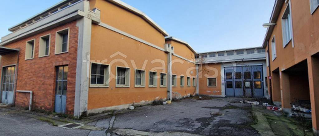 immagine annuncio 3 di 11