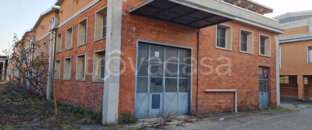 immagine annuncio 7 di 11