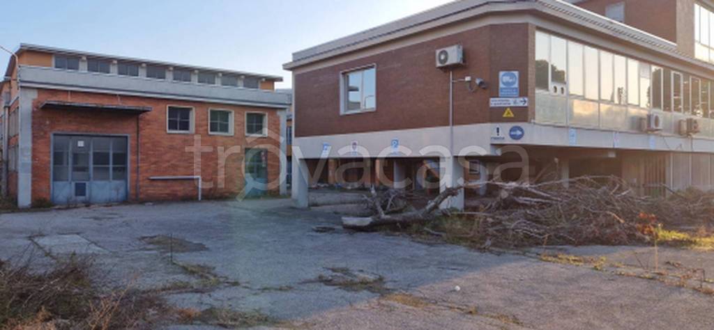 immagine annuncio 8 di 11