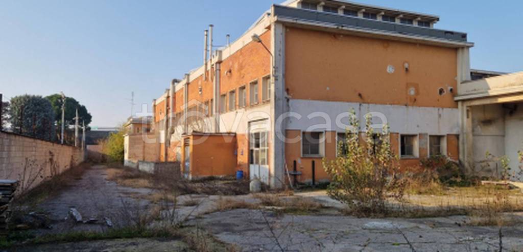 immagine annuncio 10 di 11