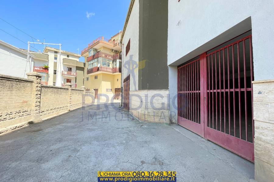 immagine annuncio 2 di 11