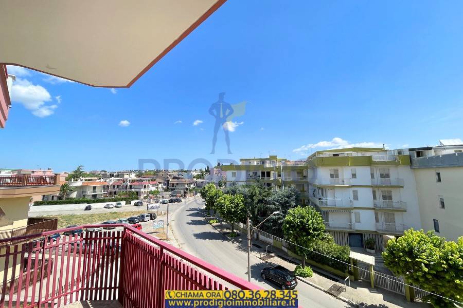 immagine annuncio 4 di 11