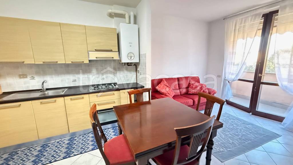 immagine annuncio 9 di 15