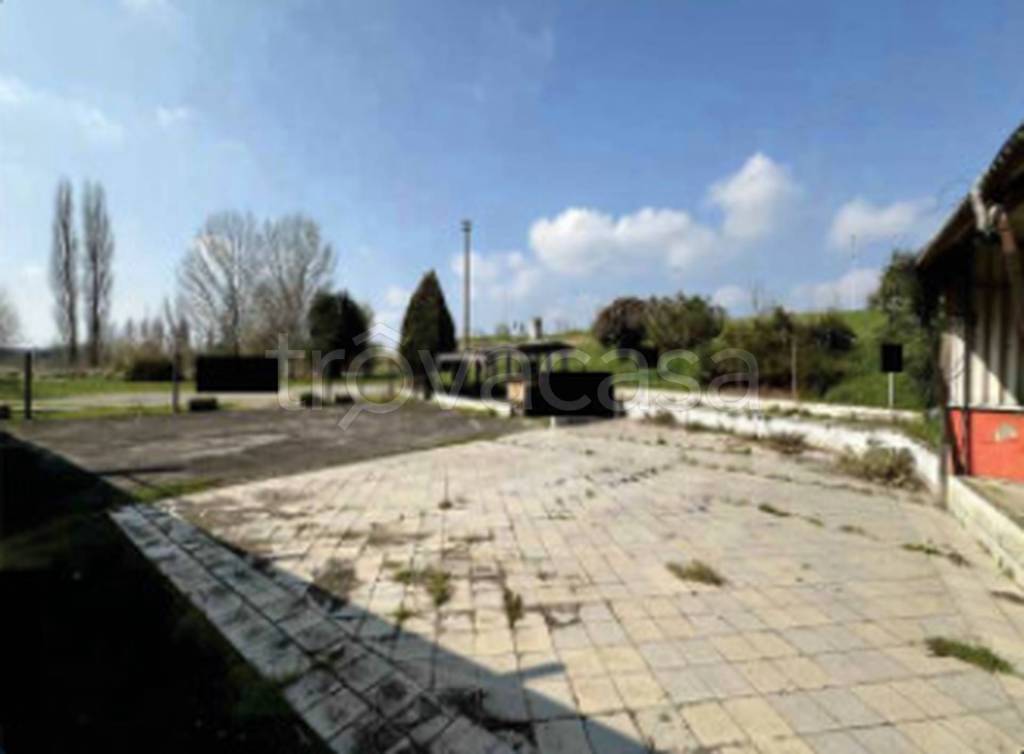 immagine annuncio 3 di 12